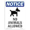 Signmission OSHA Notice Sign, 10" Height, Rigid Plastic, No Animals Allowed Sign With Symbol, Portrait OS-NS-P-710-V-14375 - alternate 1